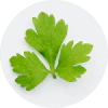 Persil bio - feuilles fraiches